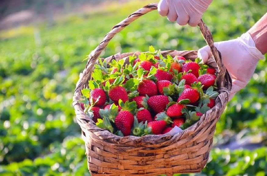 مونتي أليغري دو سول Pousada Vale Das Maritacas المظهر الخارجي الصورة